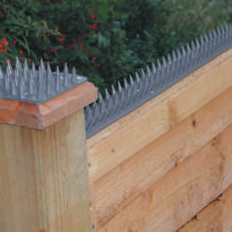 cat fence